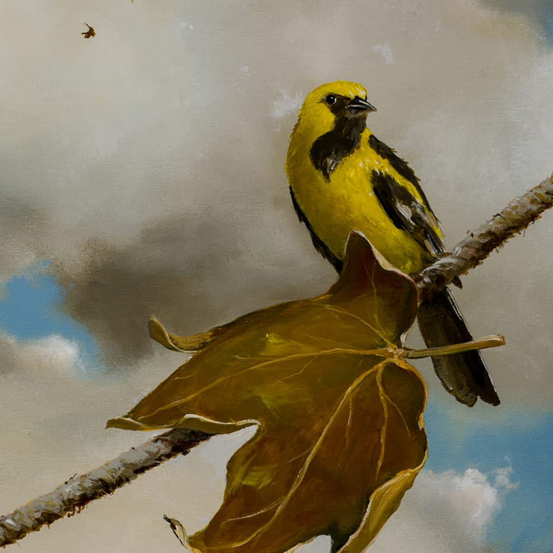 thumb - Olivier Messiaen’s "Catalogue d’oiseaux" Concert