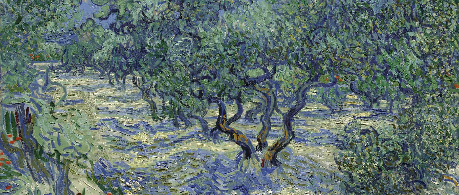 Cover: 100 Years and 6000 Miles