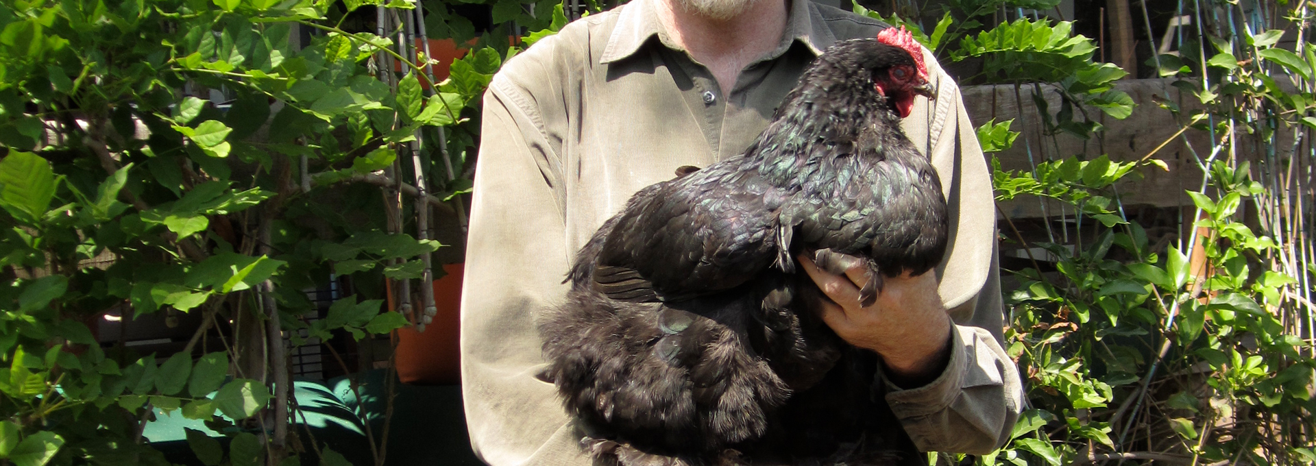 Cover: Quotations and Homages