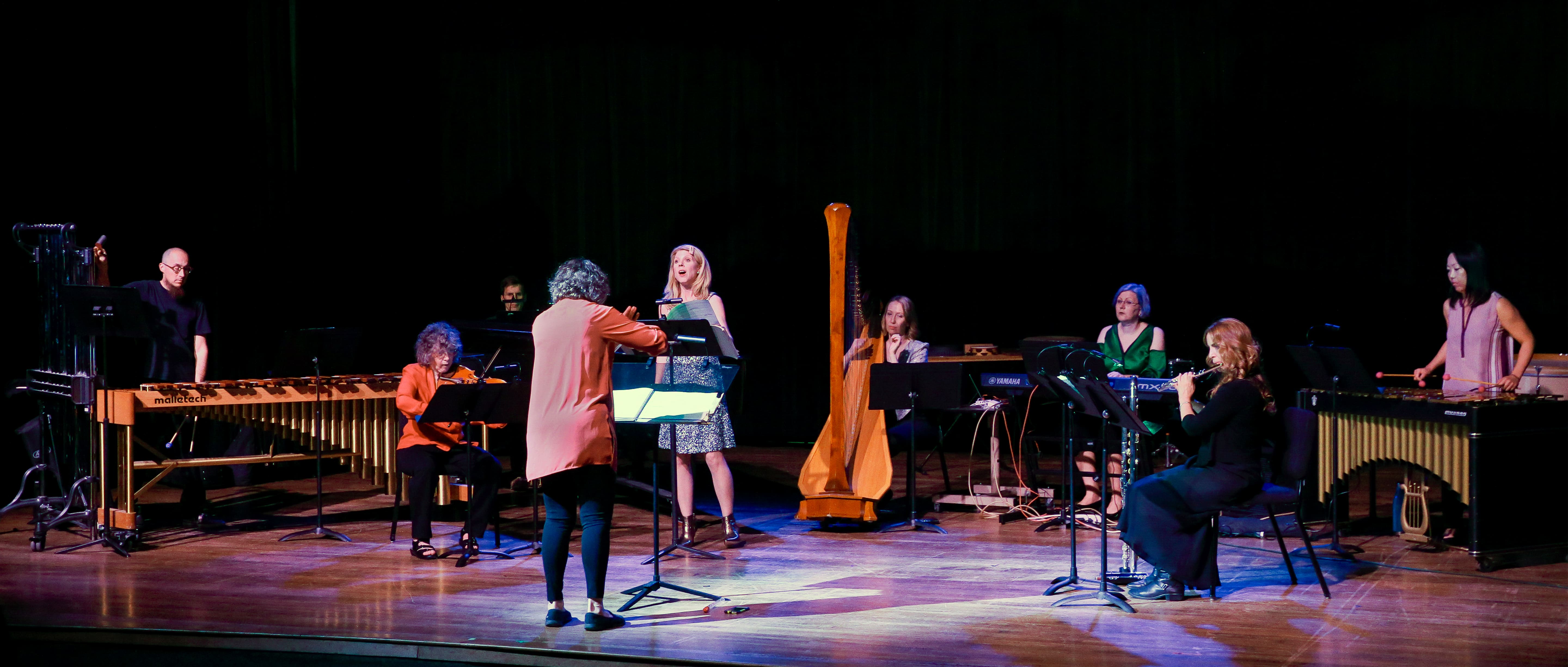 Cover: A Chaos of Light and Motion